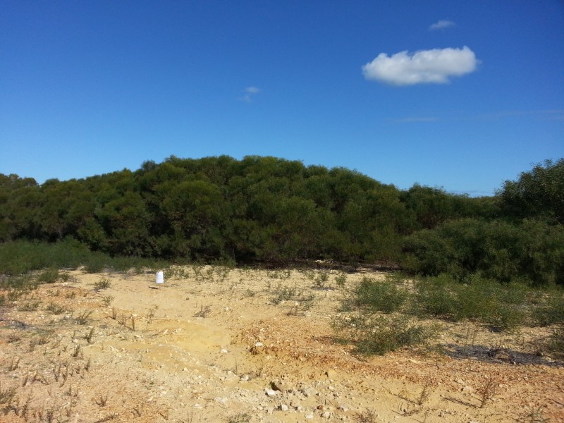 LOT 94 RIDGE WAY, Jurien Bay WA 6516