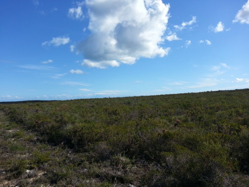 LOT 94 RIDGE WAY, Jurien Bay WA 6516