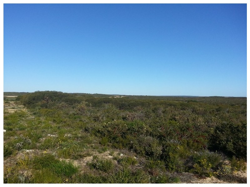 LOT 215 RIDGE WAY, Jurien Bay WA 6516