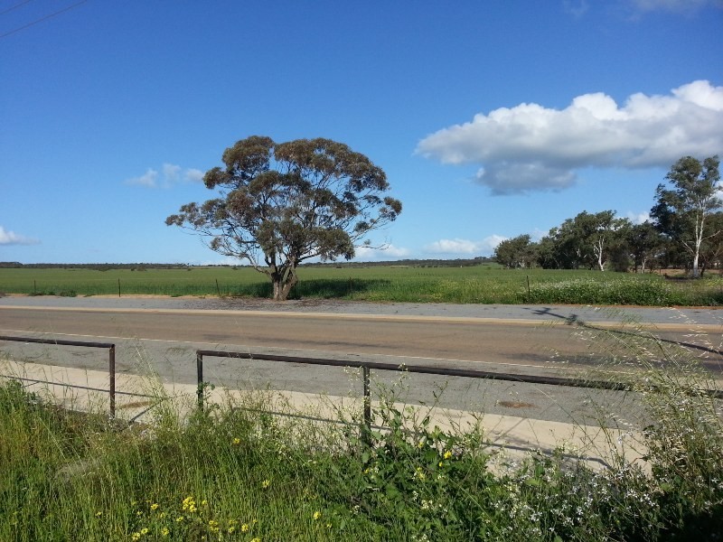 9 BOWMAN STREET, Carnamah WA 6517