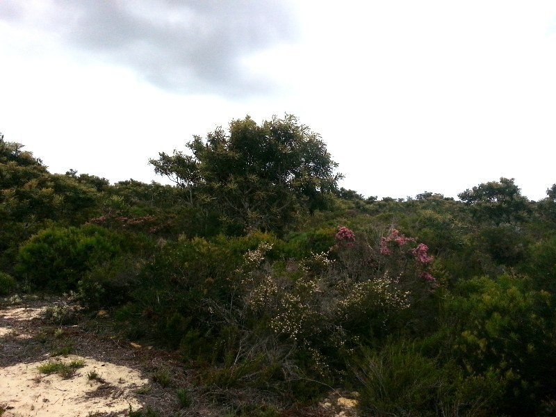 LOT 319 EMMA COURT, Jurien Bay WA 6516