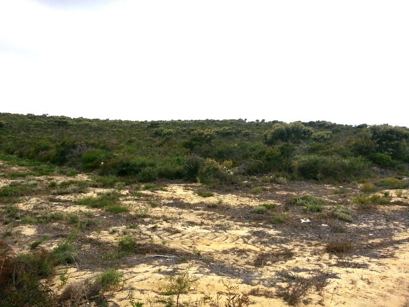 LOT 319 EMMA COURT, Jurien Bay WA 6516