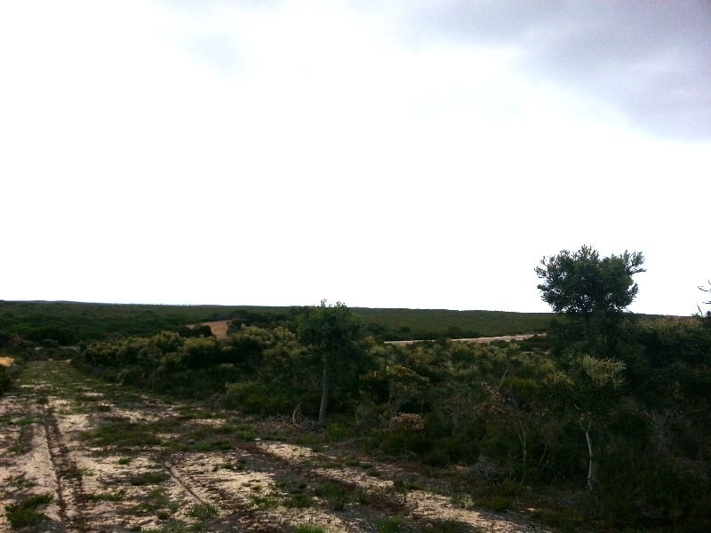 LOT 319 EMMA COURT, Jurien Bay WA 6516