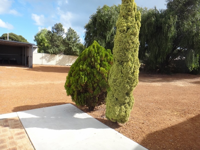 23 BOWER STREET, Jurien Bay WA 6516