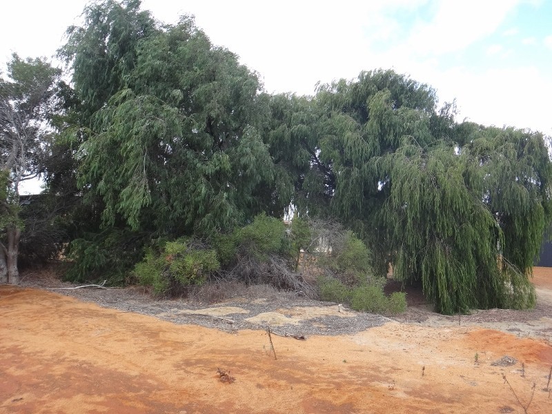 23 BOWER STREET, Jurien Bay WA 6516