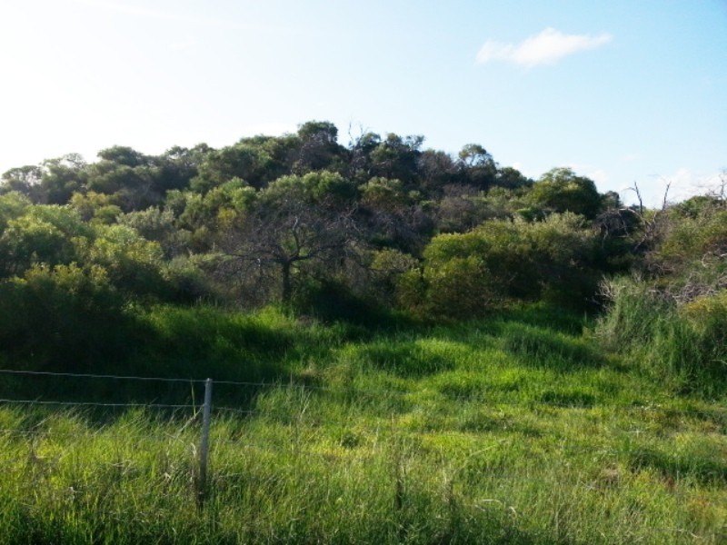 LOT 108 HOMESTEAD LOOP, Jurien Bay WA 6516