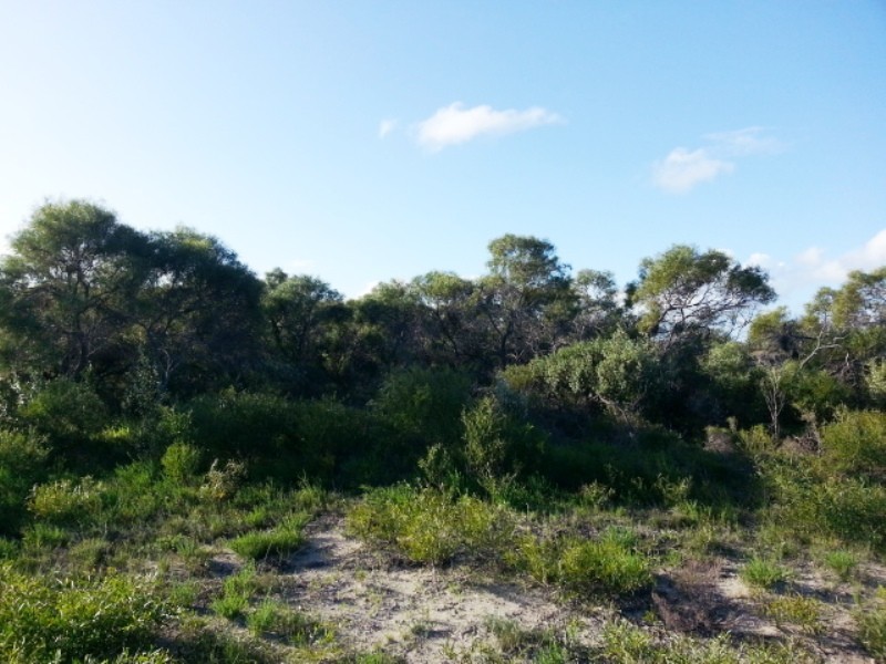 LOT 108 HOMESTEAD LOOP, Jurien Bay WA 6516