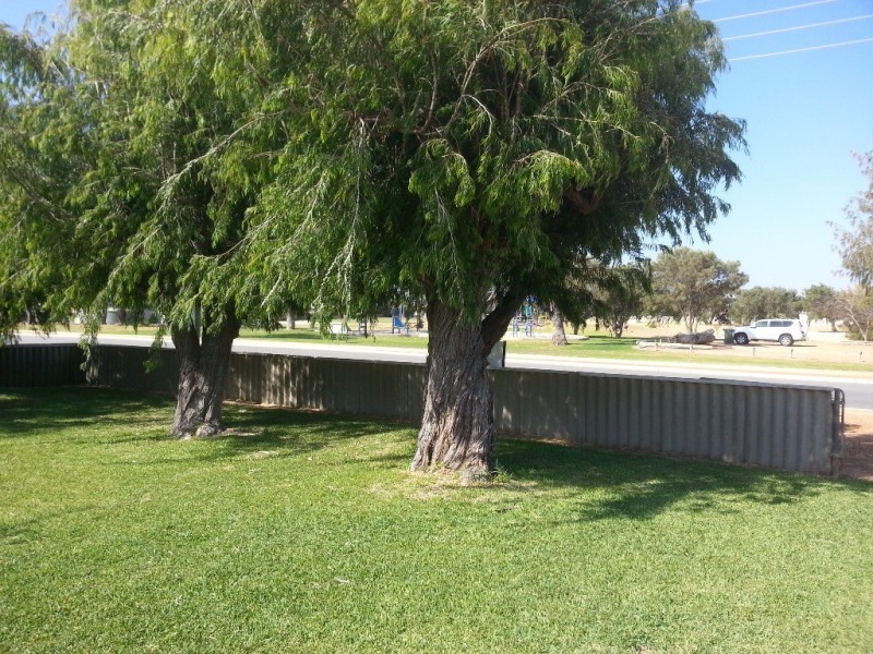 19 HASTING STREET, Jurien Bay WA 6516