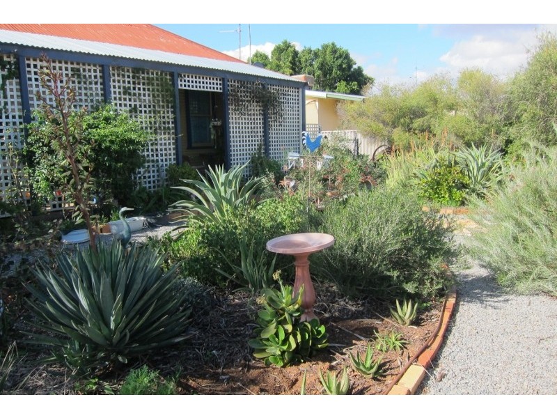 LOT 34 WILLIAMSON STREET, Three Springs WA 6519