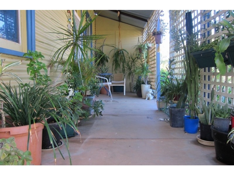 LOT 34 WILLIAMSON STREET, Three Springs WA 6519