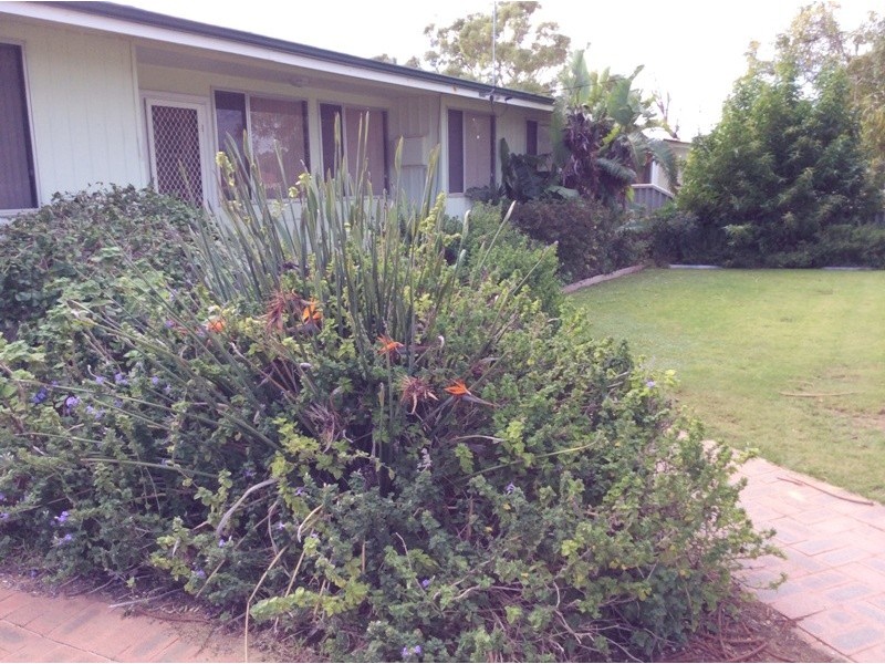 10 WESTLAKE WAY, Jurien Bay WA 6516