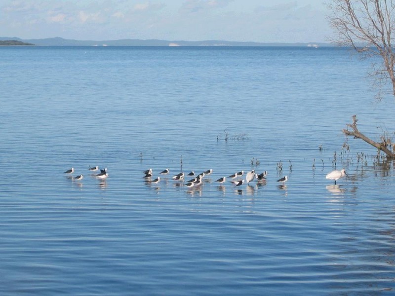 47 Esplanade, Godwin Beach QLD 4511