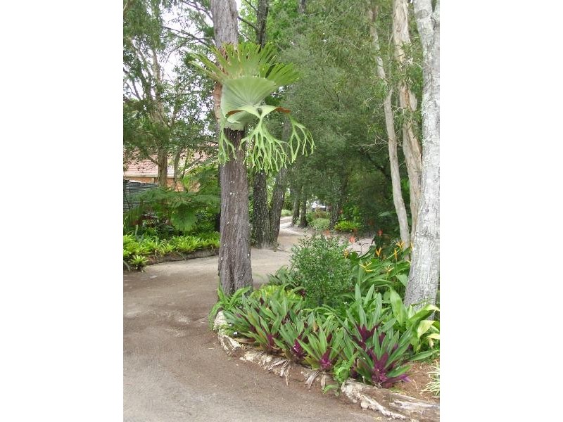 White Patch QLD 4507