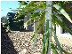 Sandstone Point QLD 4511