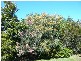 Sandstone Point QLD 4511