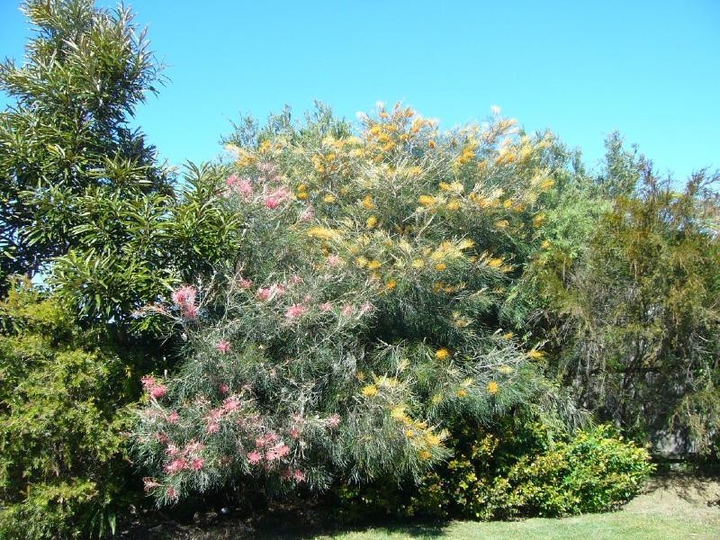 Sandstone Point QLD 4511