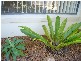 Sandstone Point QLD 4511