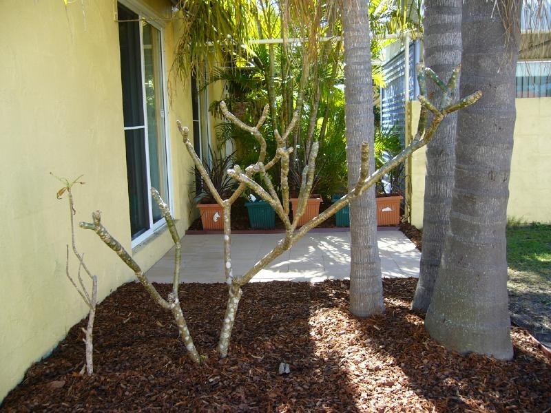 Banksia Beach QLD 4507