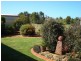 Bongaree QLD 4507