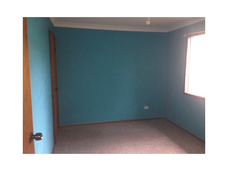 17 Warrawilla Street, Wyoming NSW 2250