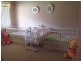East Gosford NSW 2250