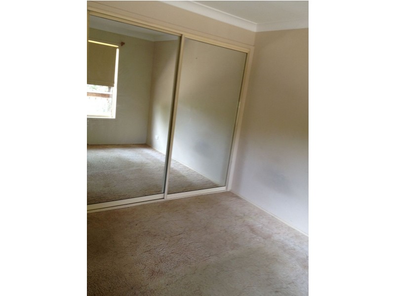 81 Turpentine Street, Wyoming NSW 2250