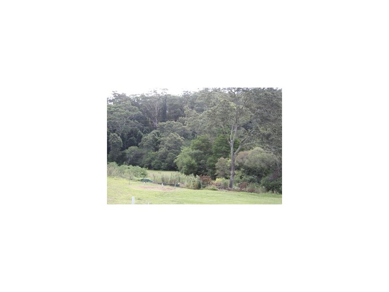 Ourimbah NSW 2258