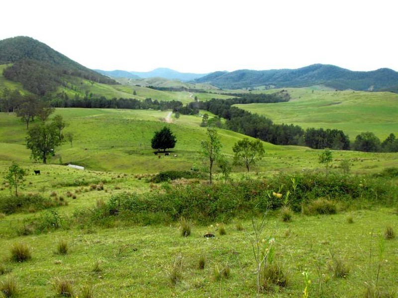 Cooplacurripa NSW 2424