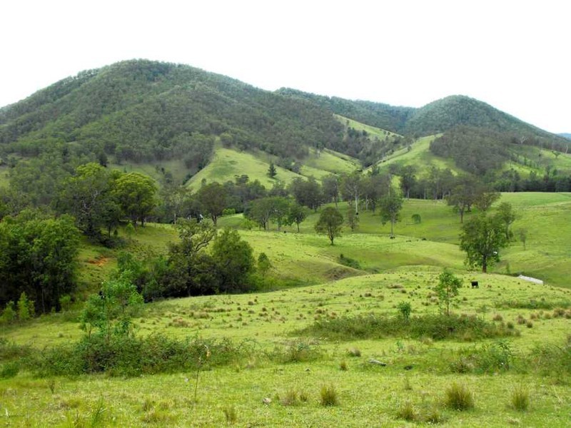 Cooplacurripa NSW 2424