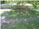 18 Beaumont Avenue, Wyoming NSW 2250
