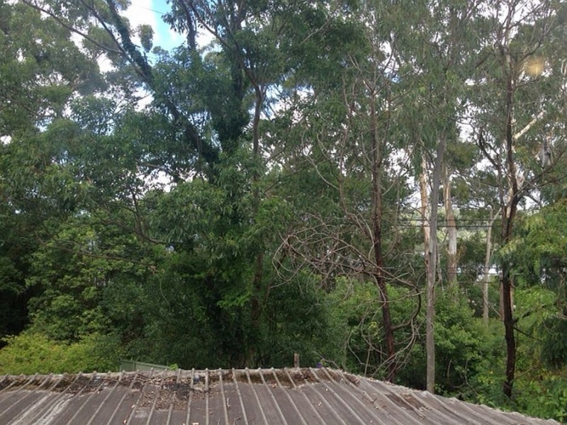 1/17 Doughan Place, Gosford NSW 2250