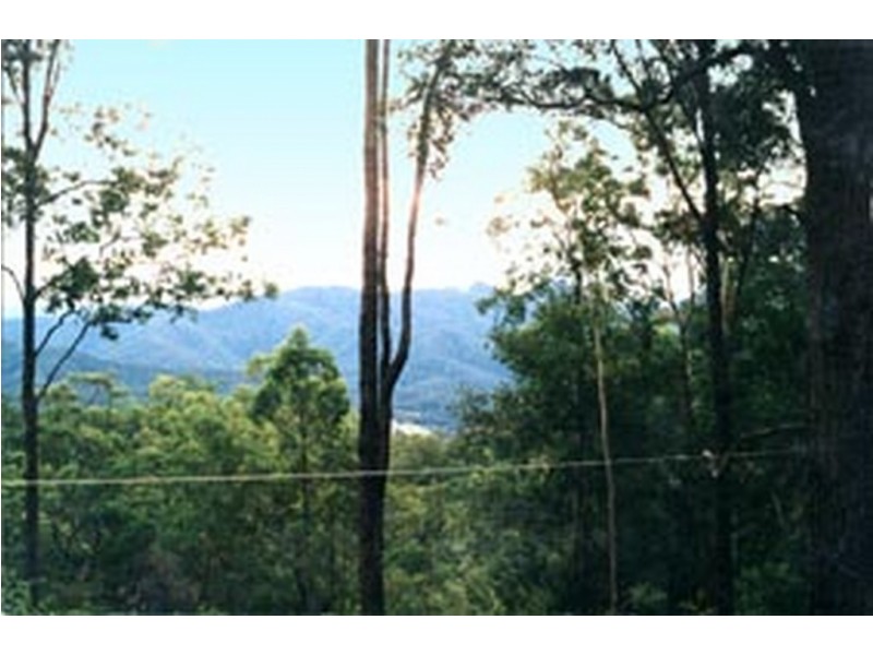 207 E TREE RD, Bellbrook NSW 2440