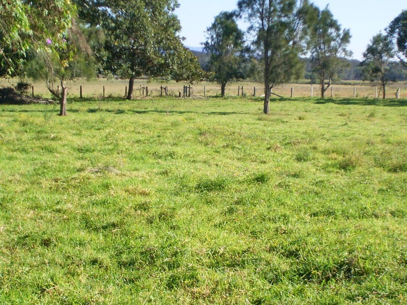 Jerseyville NSW 2431