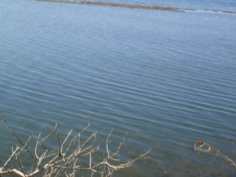 Jerseyville NSW 2431