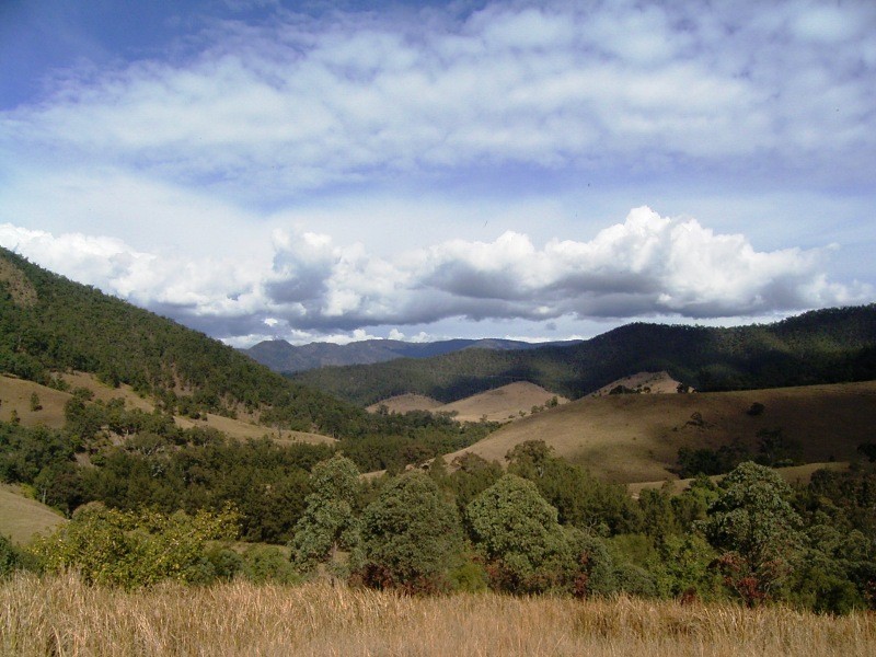 Lower Creek NSW 2440