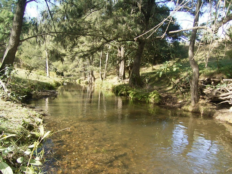 Lower Creek NSW 2440