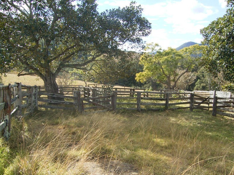 Lower Creek NSW 2440