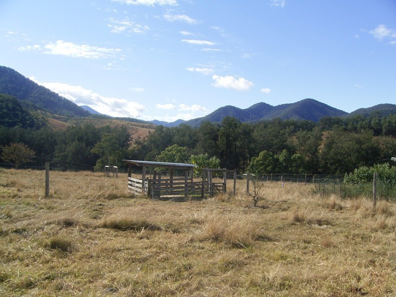 Lower Creek NSW 2440