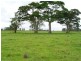 Clybucca NSW 2440