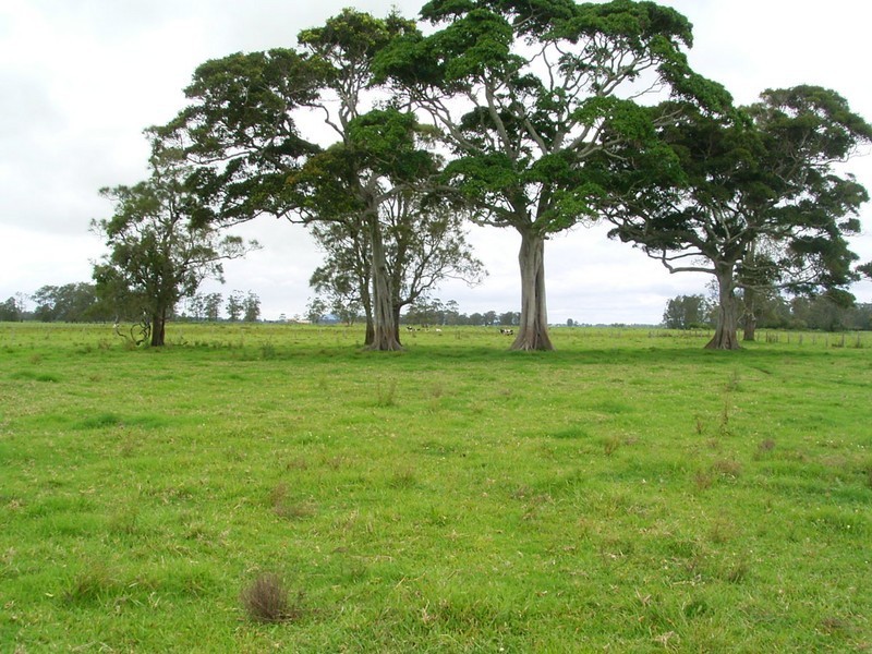 Clybucca NSW 2440