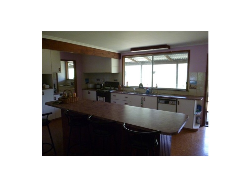 1644 Hickeys Creek Road, Hickeys Creek NSW 2440