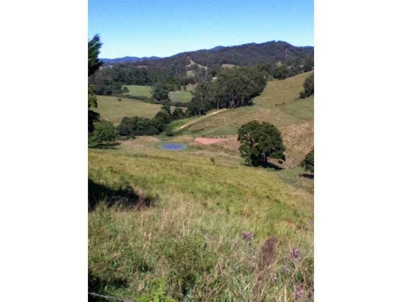 180 Bakers Creek Road, Taylors Arm NSW 2447