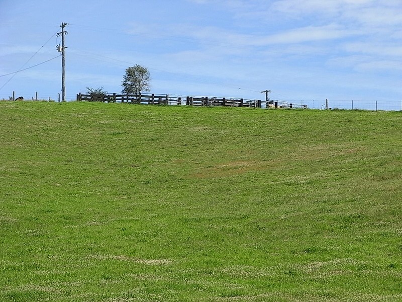 Millbank NSW 2440