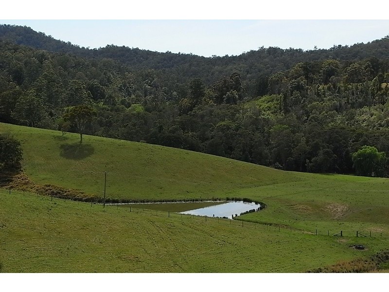 Millbank NSW 2440