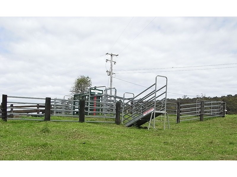 Millbank NSW 2440