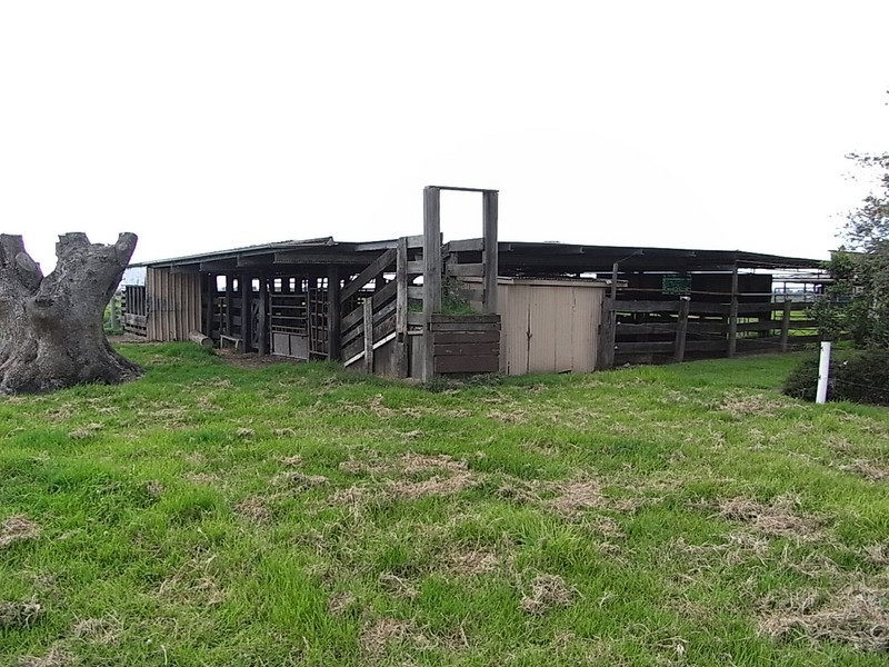 Bellimbopinni NSW 2440