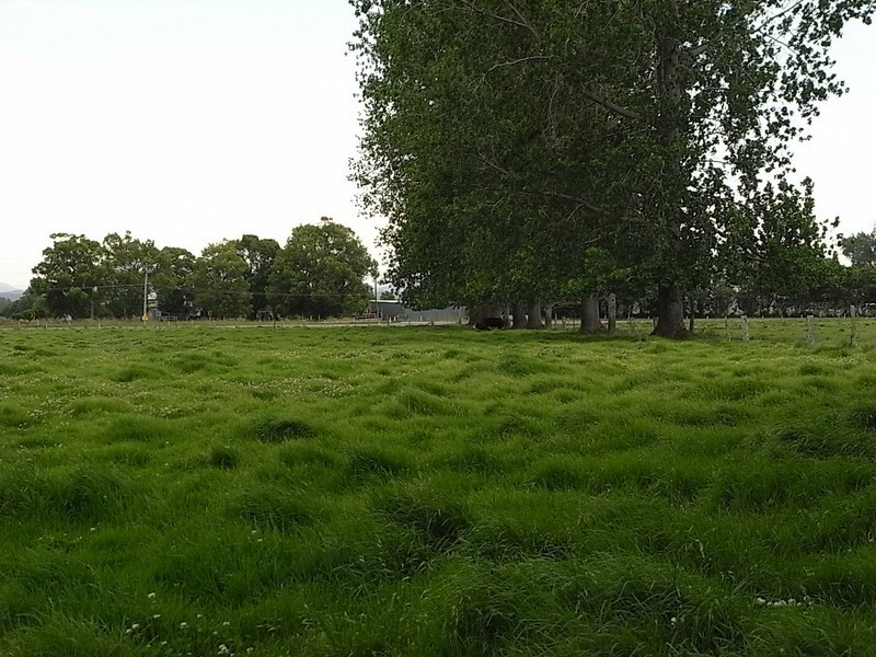 Bellimbopinni NSW 2440