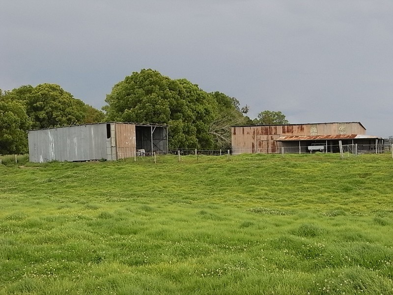 Bellimbopinni NSW 2440