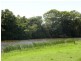 Belmore River NSW 2440