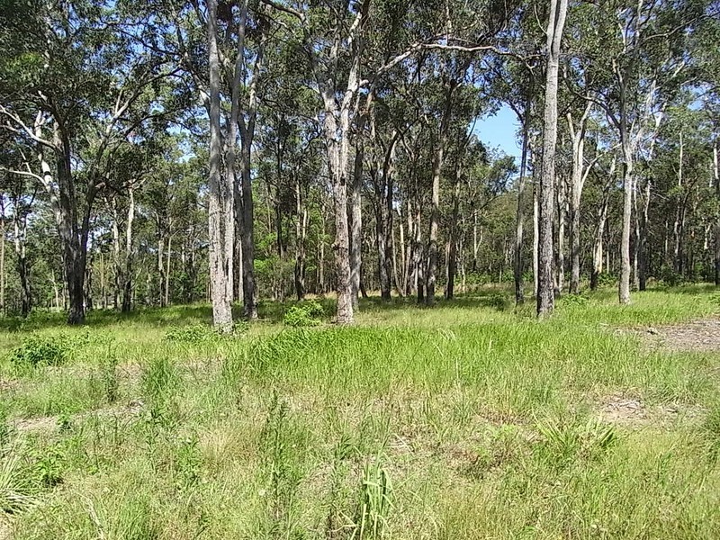 Frederickton NSW 2440